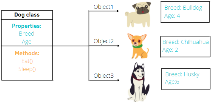 php illustration